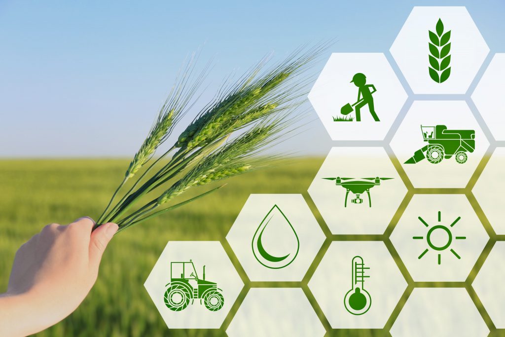 Ecork Agricultural - sustainable farming